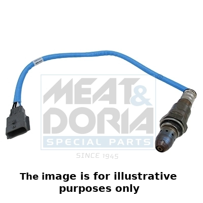 Oxygen Sensor